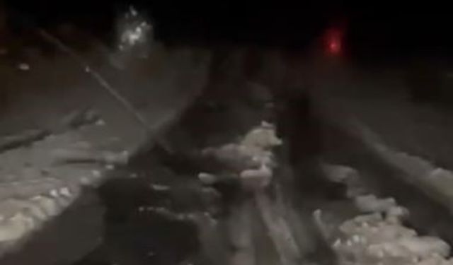 Ardahan’da dolu etkili oldu