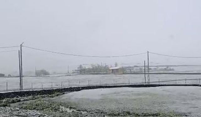 Ardahan’da mayıs ayında kar sürprizi