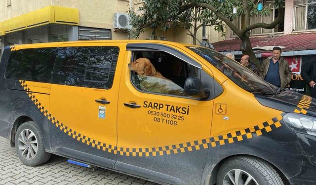Artvin’de sıra dışı taksi deneyimi