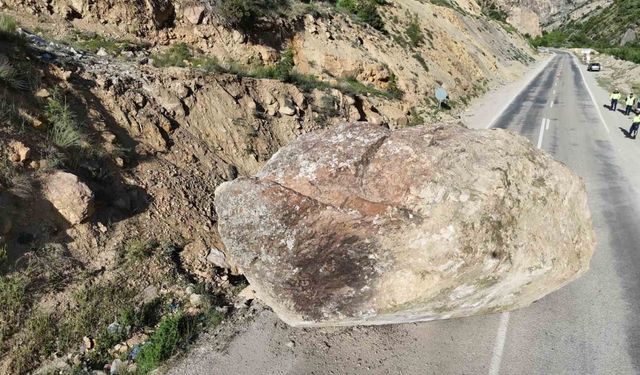 Artvin’in Ardanuç ilçesinde dev kaya yola düştü