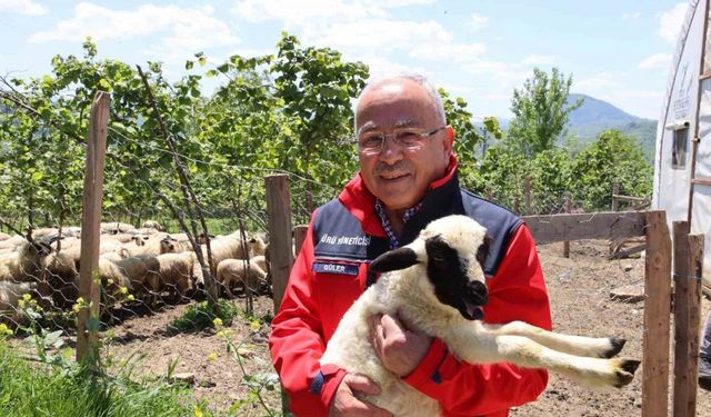 Başkan Güler: "Dağıtımını yaptığımız hayvanları kendimiz yetiştiriyoruz"