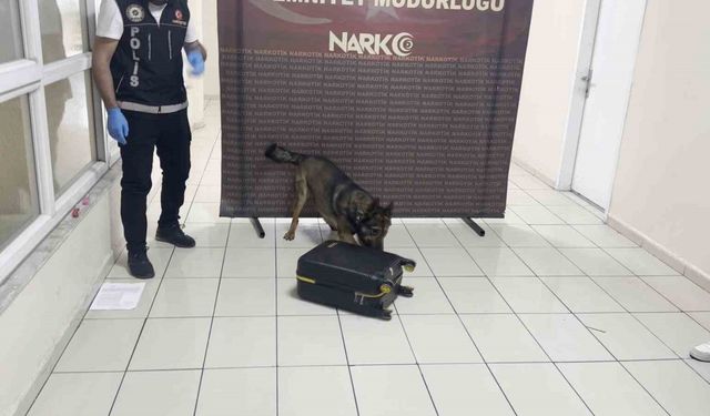 Batman’da uyuşturucu dolu valiz "Hektor"a takıldı