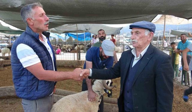 Bayram yaklaştı, kurban pazarında kıran kırana pazarlık başladı