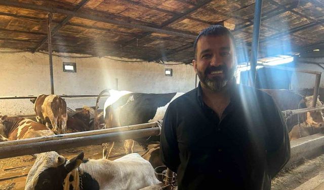 Bayrama sayılı günler kala bazı üreticide kurbanlık hayvanlar tükendi