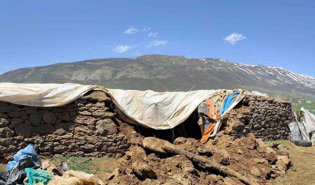 Bingöl’de fırtına ve sağanak nedeniyle ahır çöktü