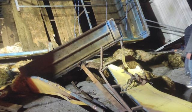 Bingöl’de kurbanlıkları taşıyan tır devrildi: Onlarca koyun telef oldu