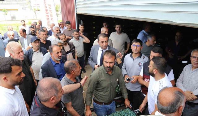 Bingöl’de üreticilere 442 bin sebze fidesi dağıtıldı