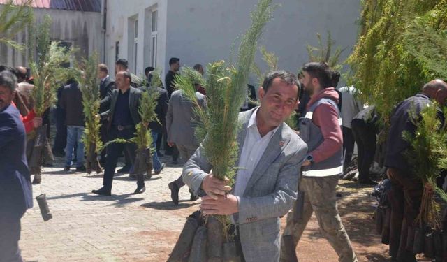 Bulanık’ta 5 bin çam fidanı dağıtıldı
