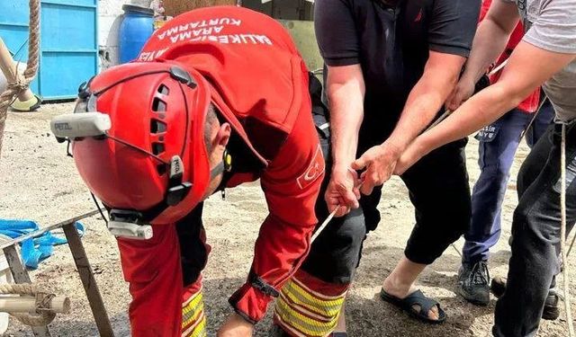 Burhaniye’de kuyudan kuzu kurtarma operasyonu