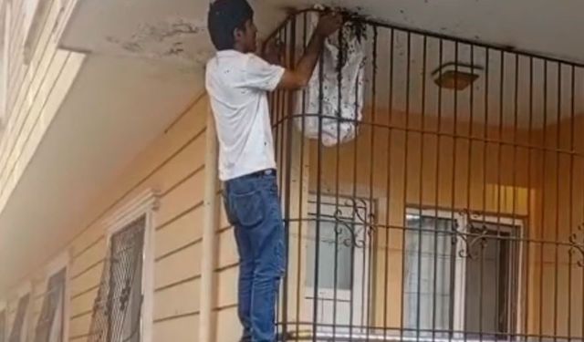 Çıplak elle yüzlerce arının arasına girdi