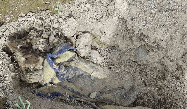 Çoban, boş arazide battaniyeye sarılarak gömülmüş erkek cesedi buldu