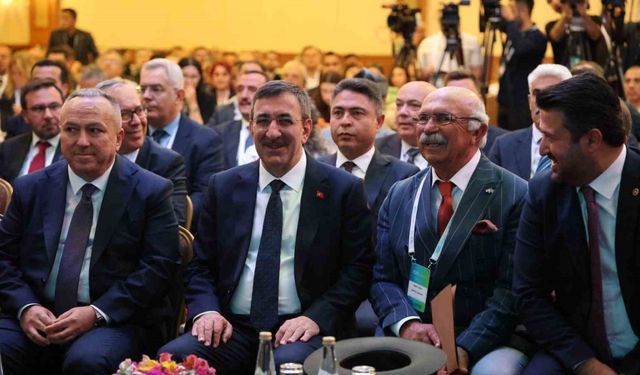 Cumhurbaşkanı Yardımcısı Yılmaz: "Cari açığımızın büyük bir bölümünün enerjiden kaynaklandığını görüyoruz"