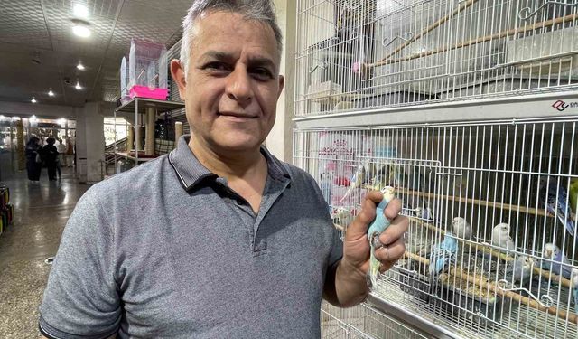 Elazığ’da muhabbet kuşlarına yoğun ilgi