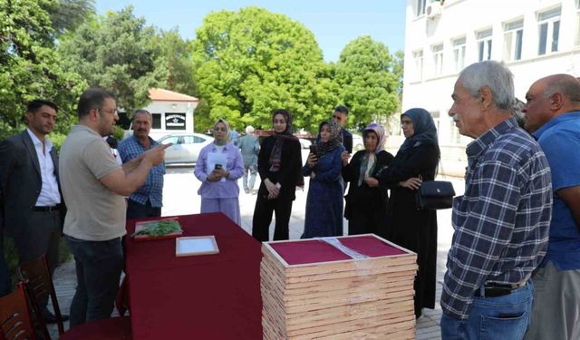 Elazığ’da üreticilere ipek böceği larvası dağıtıldı