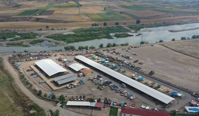 Erbaa hayvan pazarı yeniden kapatıldı