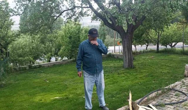 Evin bahçesine düşen yıldırım paniğe neden oldu
