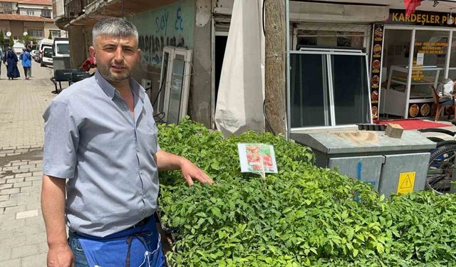 Fideleri bahçesine ekenler kendi yetiştirip kendi yiyor