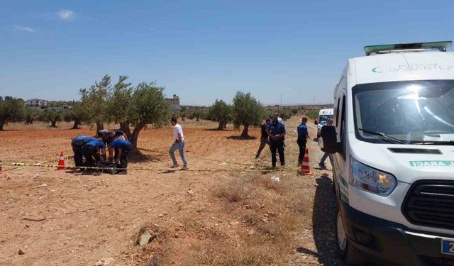 Gaziantep’te bir genç zeytin tarlasında ölü bulundu