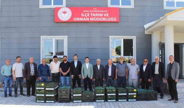 Genç’te üreticilere sebze fidesi dağıtıldı