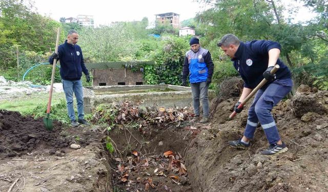 Giresun’da balık atıkları gübre ve yeme dönüşüyor