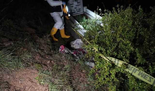 Gümüşhane’de ayılar bu kez mezarlığa dadandı