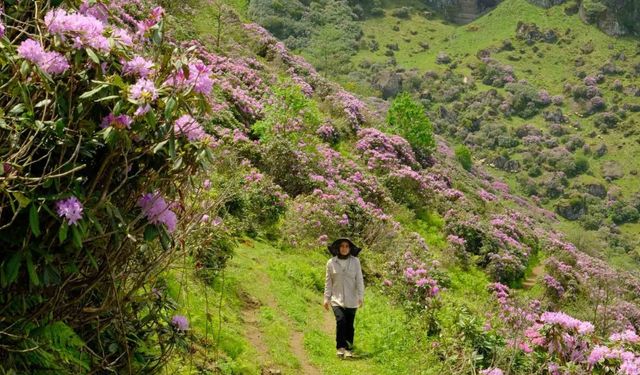 Gümüşhaneli dağcılardan Sis Dağı’na yürüyüş