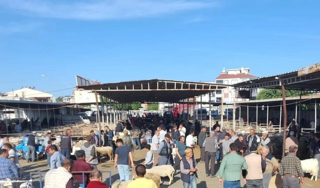 Havran’da Kurban Bayramı öncesi hayvan pazarı denetlendi