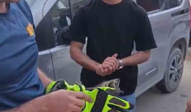 Iğdır’da aracın motor kısmında sıkışan yavru kedi kurtarıldı