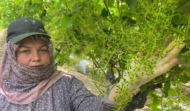 İhracat için salkım salkım mücadele