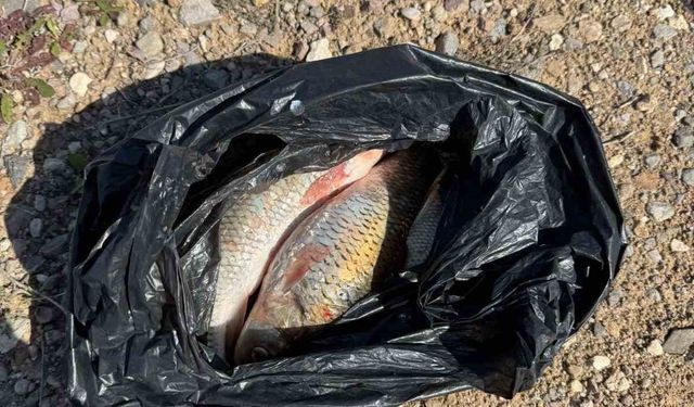 Kaçak Balık avı yapan 2 kişi yakalandı