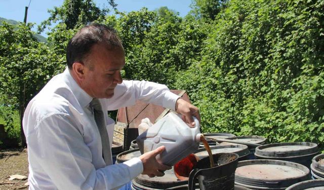 Kahverengi kokarcaya sıvı balık gübreli önlem