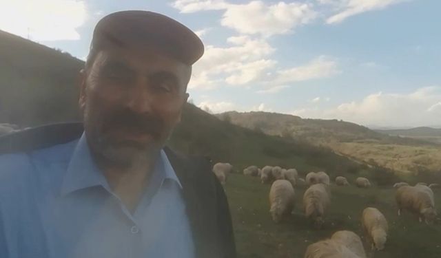 Kangallardan korkan ayı ağaca tırmandı