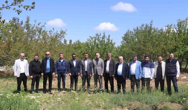Karademir," "Malatya kayısısız kalırsa ekonomi durur"