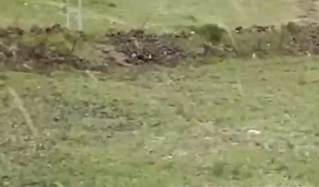 Kars’ta şiddetli rüzgar çatıları uçurdu: Korku dolu anlar kamerada