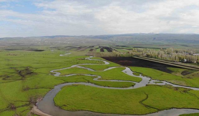 Kars’ta tabloları kıskandıran görüntü