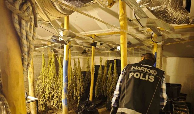 Kenevir yetiştirilen gizli seraya polis baskını: 1 tutuklama