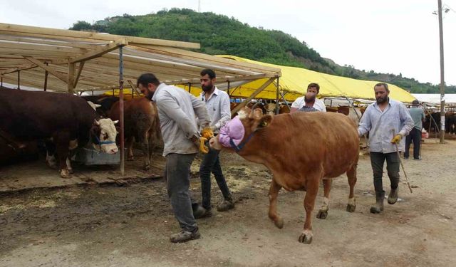 Kurban pazarında kol kıran pazarlık
