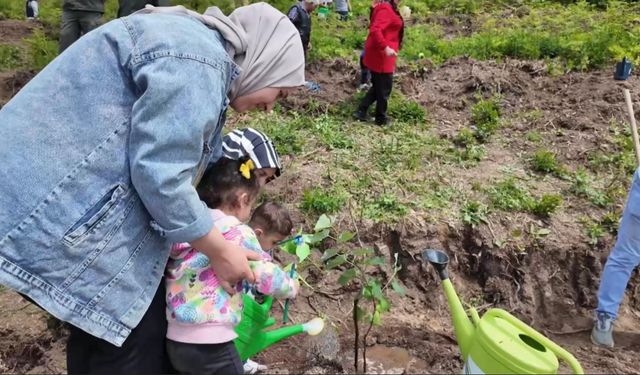 Koruyucu aileler adına 250 ıhlamur fidanı toprakla buluştu