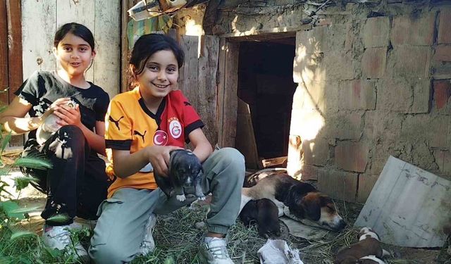 Küçük çocuklardan yürek ısıtan davranış