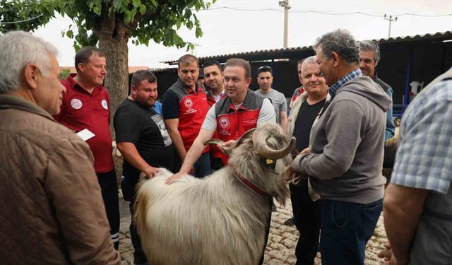 Kurban pazarlarında sağlık ve hijyen kontrolü
