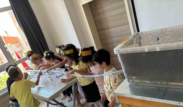 Minikler, arılarla buluştu balın yolculuğunu öğrendi