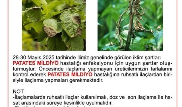 Niğde İl Tarım ve Orman Müdürlüğü’nden üreticilere mildiyö uyarısı