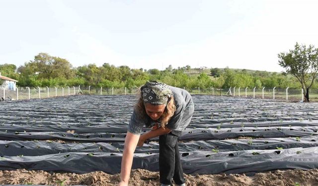 Pandemi günlerinde Ankara’yı terk etti, memleketinde üretici oldu, şimdi talepleri yetiştiremiyor