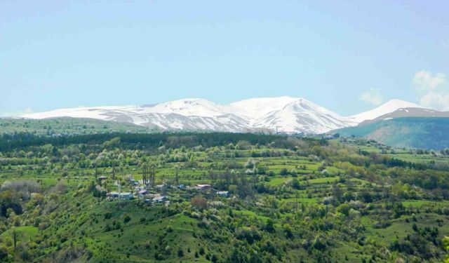 Posof’ta baharla gelen güzellikler