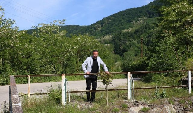 Sakin şehirde yarım asırlık köprü yenileniyor