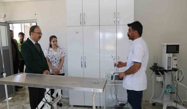 Siirt’te sahipsiz hayvanlar bu merkezde güvenli şekilde yaşamlarını sürdürüyor