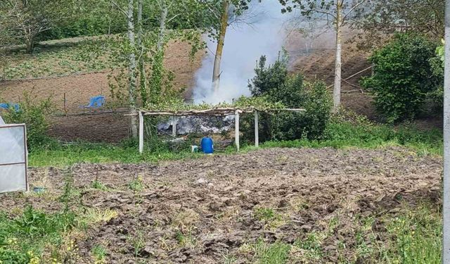 Sinop’ta tarlada yangın paniği