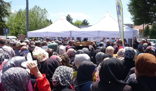 Tavşanlı’da fide dağıtımı izdihama sebep oldu