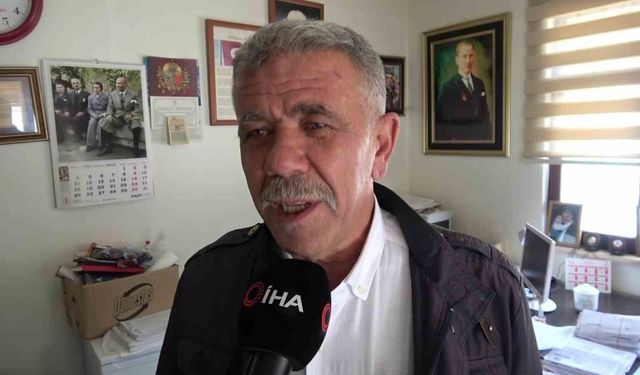 Tilki futbol sahasına girdi