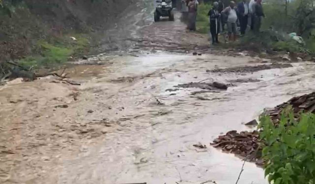 Tokat’ta sele kapılan 25 küçükbaş hayvan telef oldu